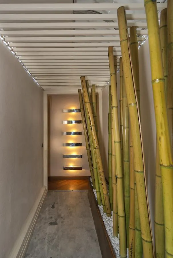 Lauri Loft Hotel Pisa Guest house